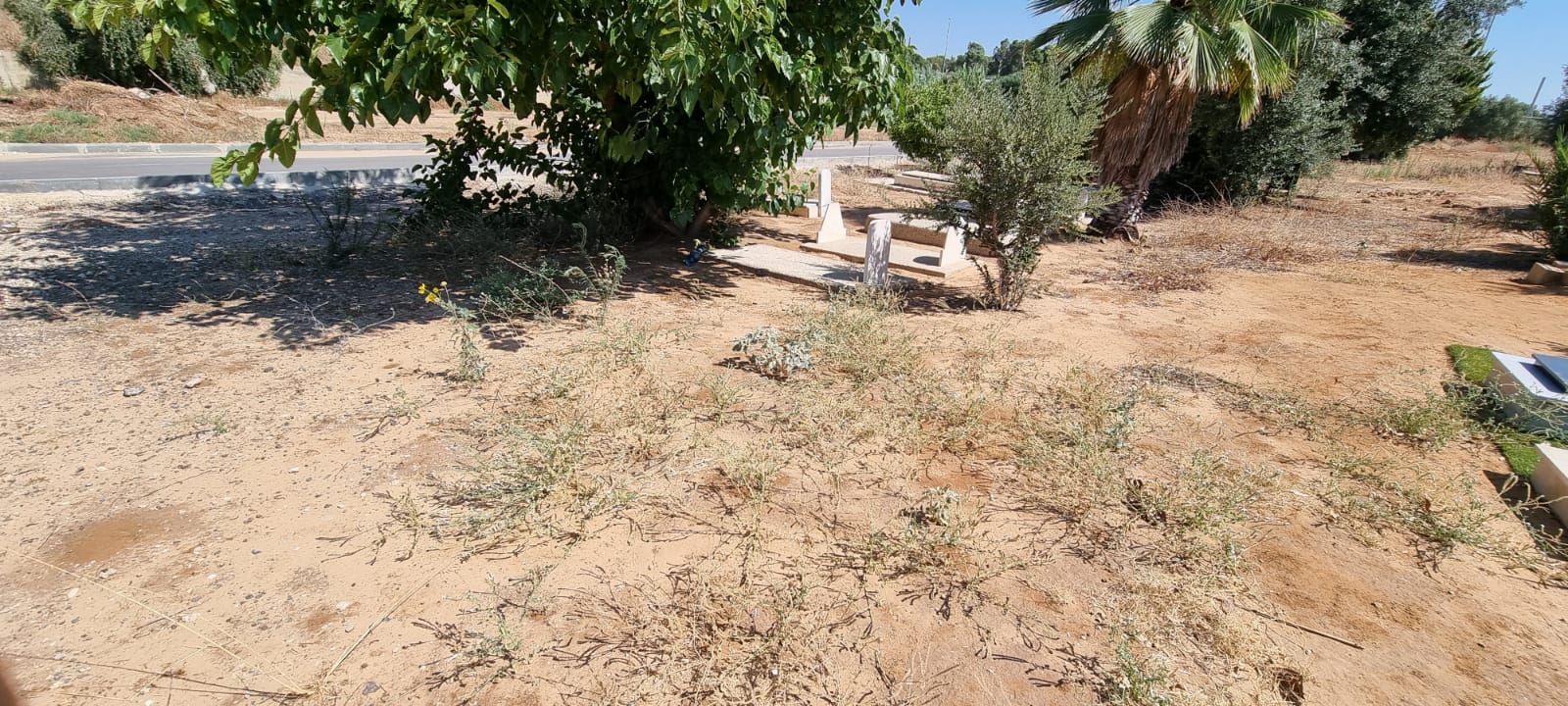 WhatsApp Image 2021-07-06 at 9.37.19 AM (1).jpeg